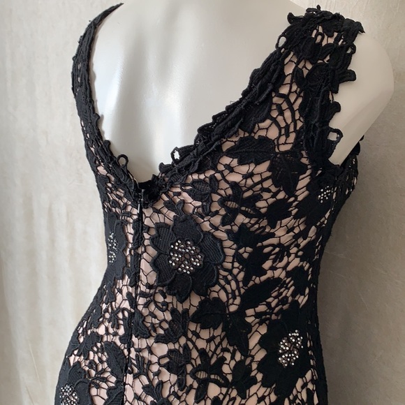 Betsy Adam peach & black Swarovski stone gown - Picture 15 of 17